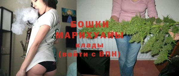 спайс Кулебаки