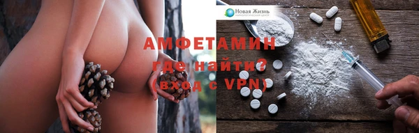 гашик Балахна