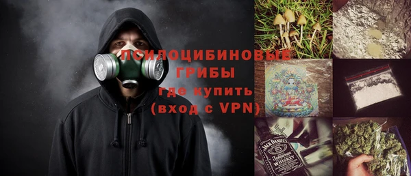 гашик Балахна