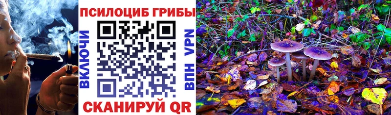 OMG как войти Билибино Галлюциногенные грибы мицелий